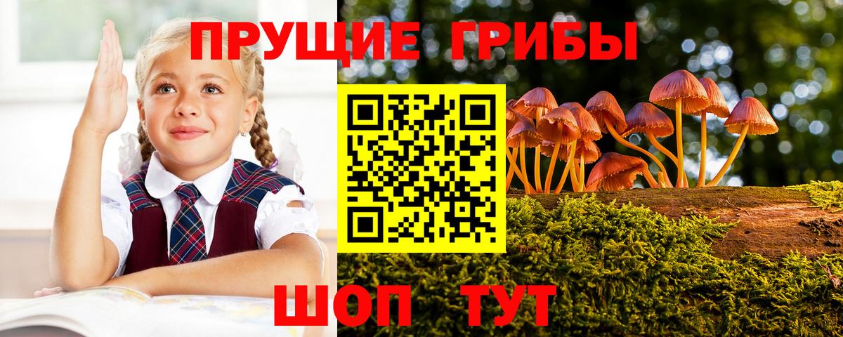 Галлюциногенные грибы ЛСД Ртищево